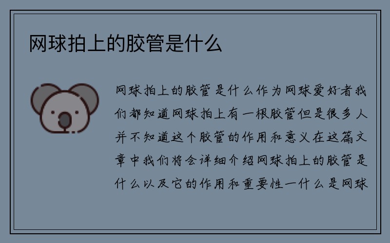 网球拍上的胶管是什么